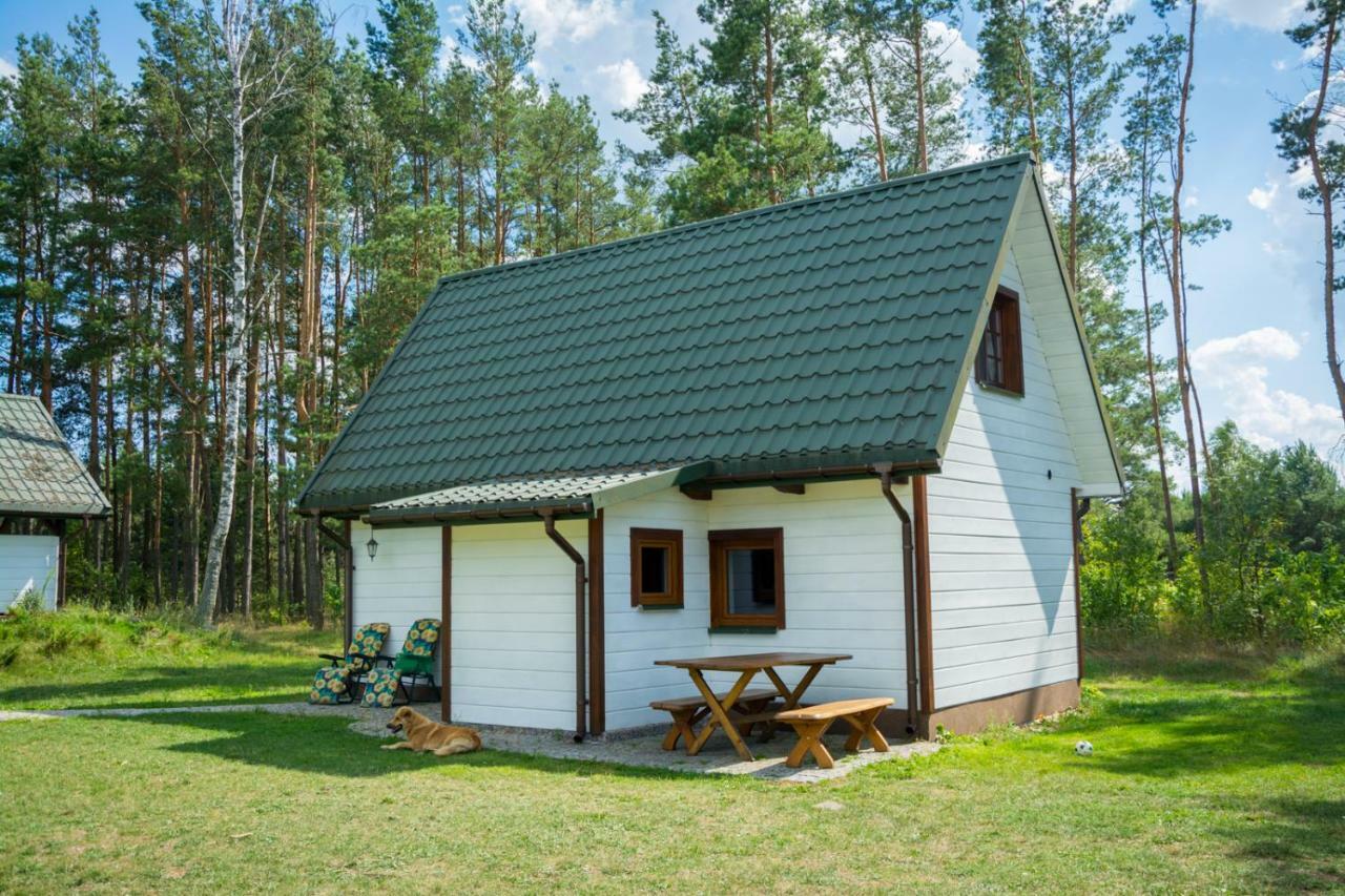 Agroturystyka Zubr Villa Siemianowka Exterior photo